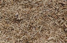 How 'Green' Are Wood Pellets as a Fuel Source?