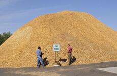 Burning wood pellets for energy endangers local communities’ health