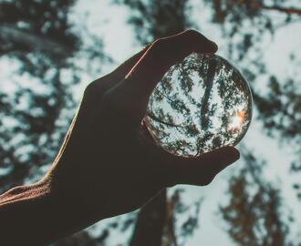 Hand holding crystal ball peering through trees