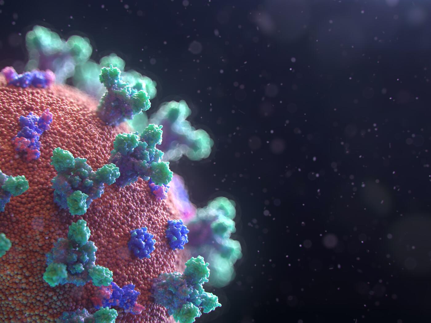 coronavirus cell